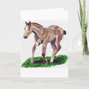 Buckskin Quarter Horse Foal Blank Greeting Card