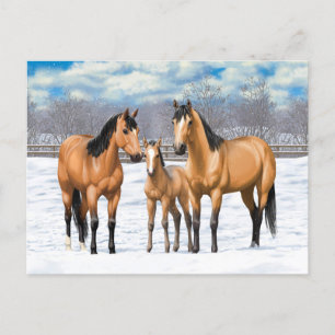 Buckskin Quarter Horses In Snow Postcard