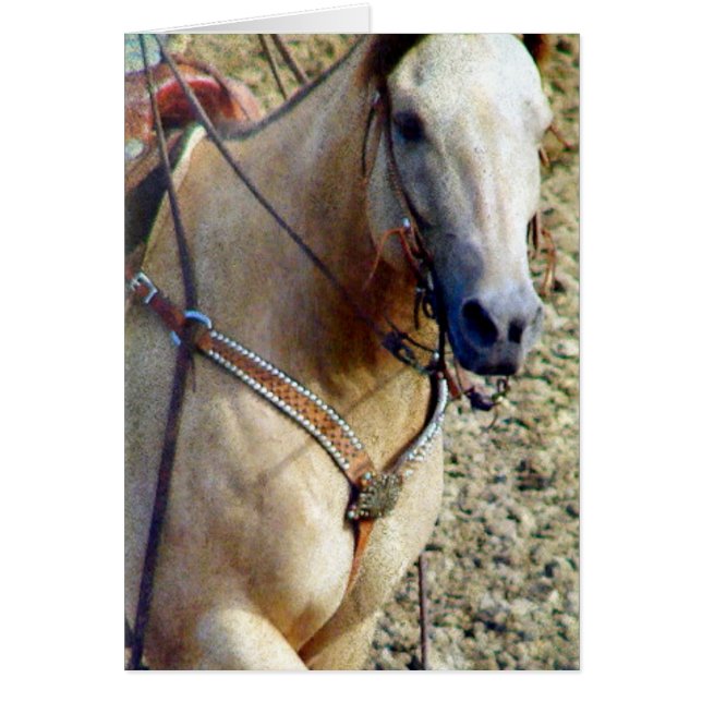 Buckskin Rodeo Horse (Front)