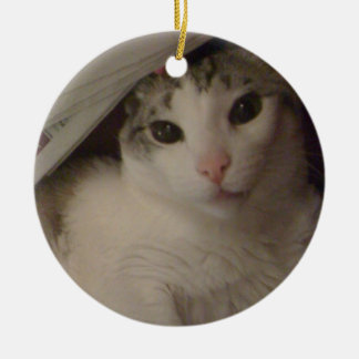 Bucky the cat ornament