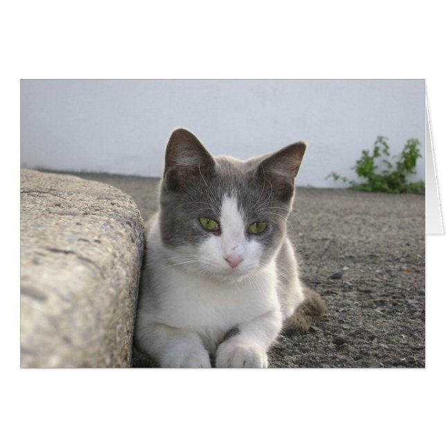 "Bud in colour" (Front Horizontal)