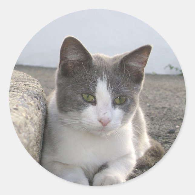 "Bud in colour" Classic Round Sticker (Front)