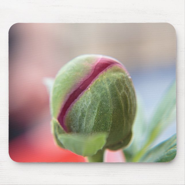 Bud of a Peony/Pfingstrosen Mouse Pad (Front)