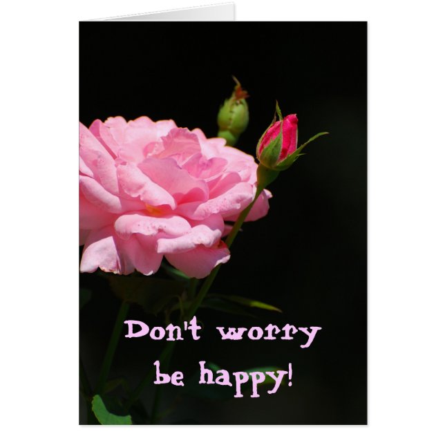 Bud of a rose, Don't worry, be happy! (Front)