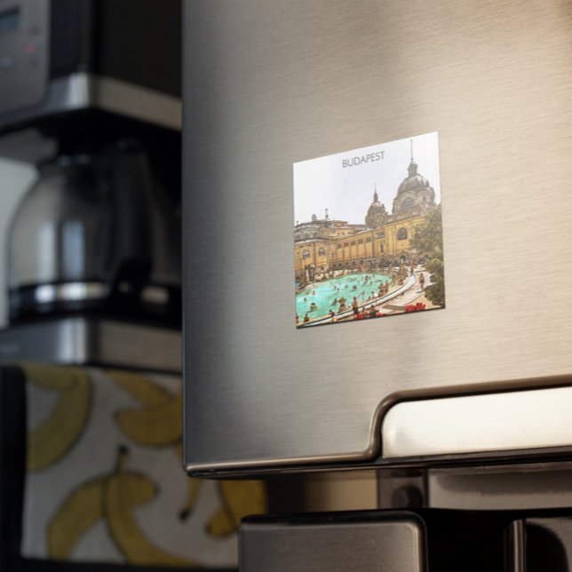 Budapest Hungary Széchenyi Thermal Baths Magnet (budapest hungary city magnet)