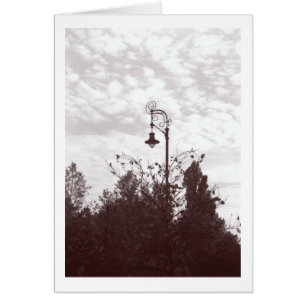 Budapest Streetlight