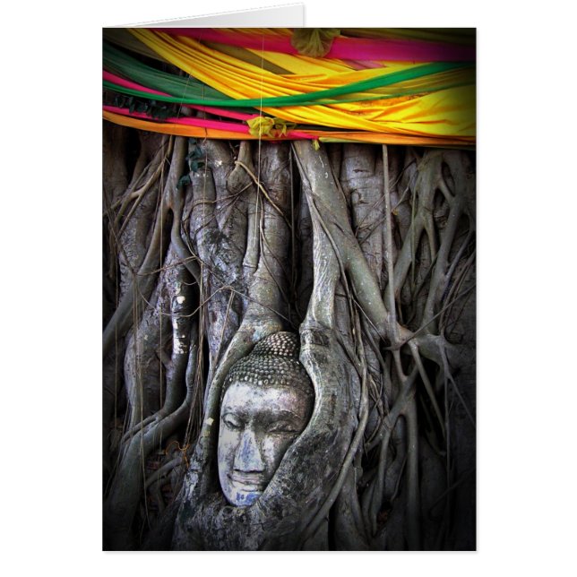Buddha And The Tree Buddhism Thailand Photography (Front)