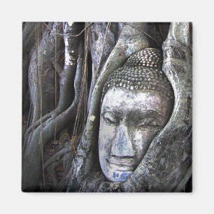 Buddha And The Tree Buddhism Thailand Photography Magnet