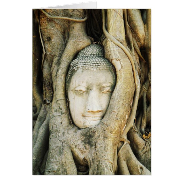 Buddha Head in the Fig Tree .. Ayutthaya, Thailand (Front)