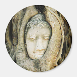 Buddha Head in the Fig Tree .. Ayutthaya, Thailand Magnet