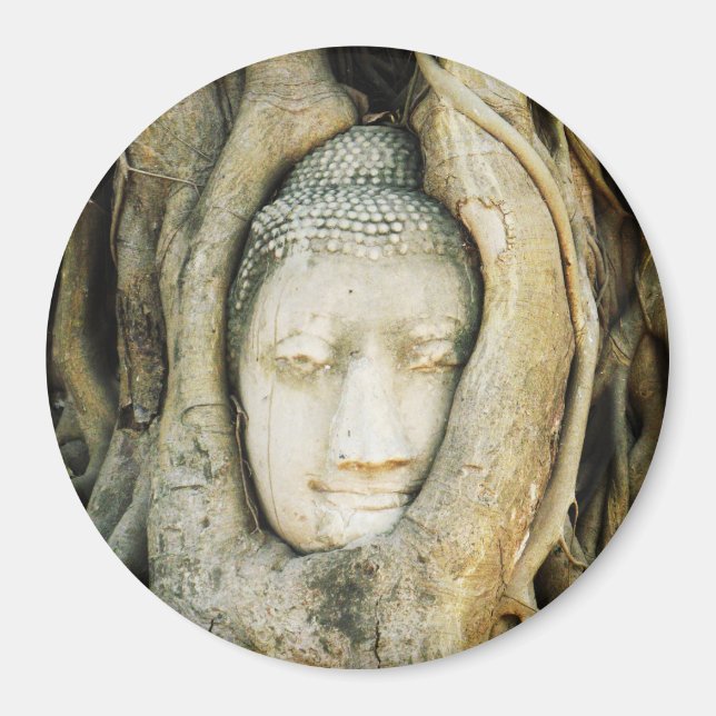 Buddha Head in the Fig Tree .. Ayutthaya, Thailand Magnet (Front)