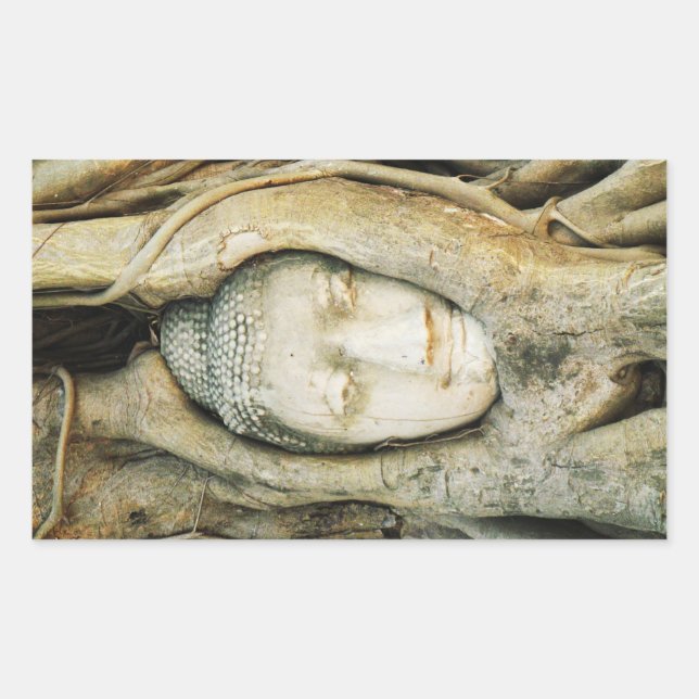 Buddha Head in the Fig Tree .. Ayutthaya, Thailand Rectangular Sticker (Front)