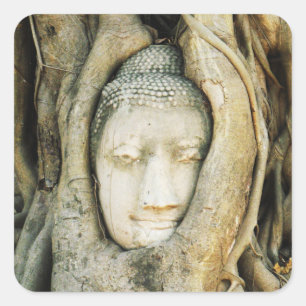 Buddha Head in the Fig Tree .. Ayutthaya, Thailand Square Sticker