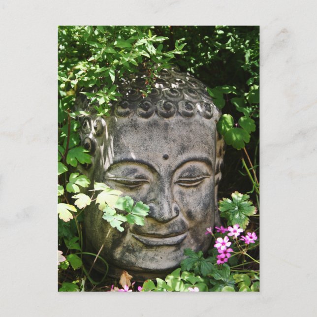 Buddha Head Postcard (Front)