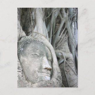 Buddha Head Postcard