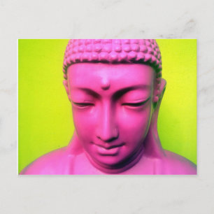 buddha pink postcard
