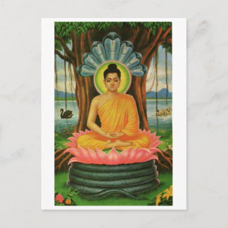Buddha Postcard