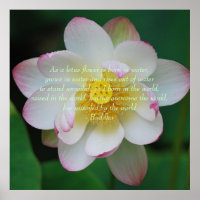 Buddha quote Lotus flower