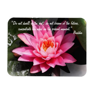 Buddha Quotes & Lotus Flower / Nature Meditation Magnet