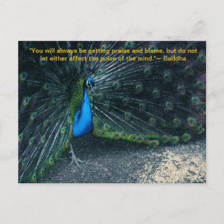 Buddha's Quote Postcard
