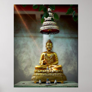 Buddha's Shining Light Poster