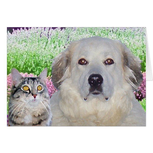 Buddies (Front Horizontal)