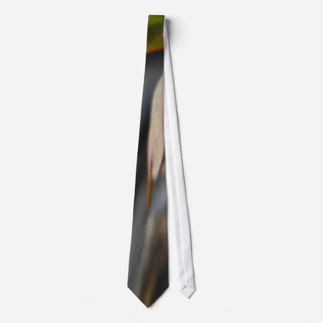 Budding Anemone Abstract Tie (Front)