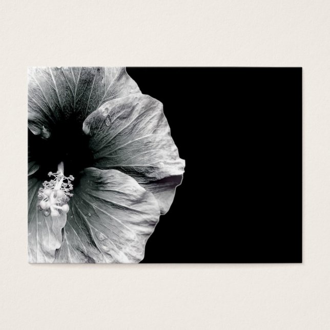 Budding Beauty (Front)