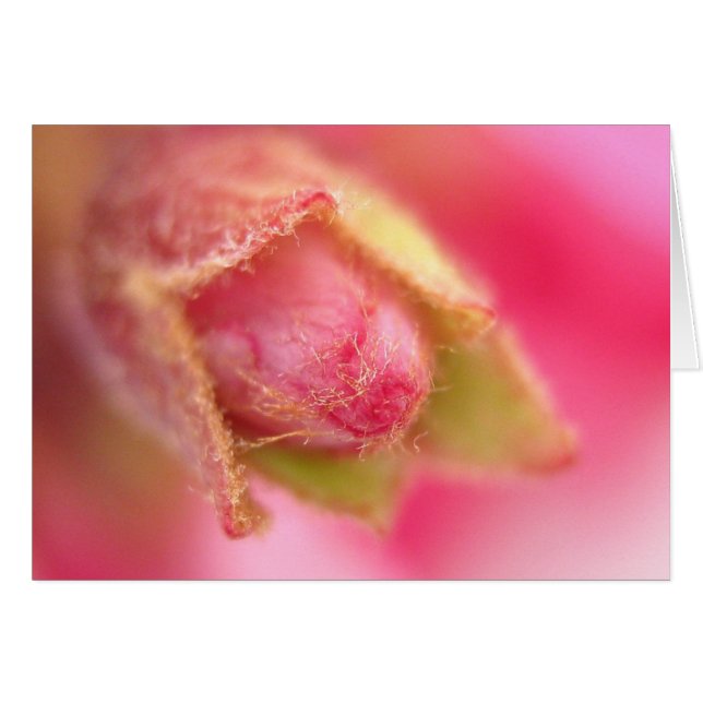 Budding Card (Front Horizontal)