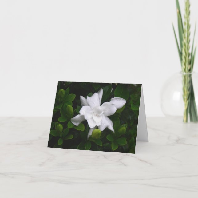 Budding Gardenias Floral Notecard (Front)