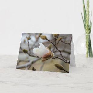 Budding Magnolia Bloom, inside verse on Faith Card