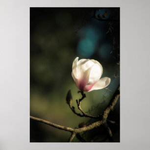 Budding magnolia vertical poster