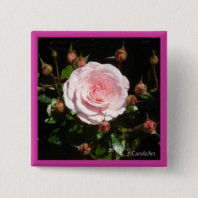 Budding Pink Rose Buds 15 Cm Square Badge (Front)