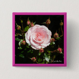 Budding Pink Rose Buds 15 Cm Square Badge