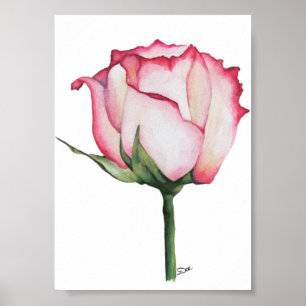  Budding Rose Premium 5x7 Canvas Gloss Poster