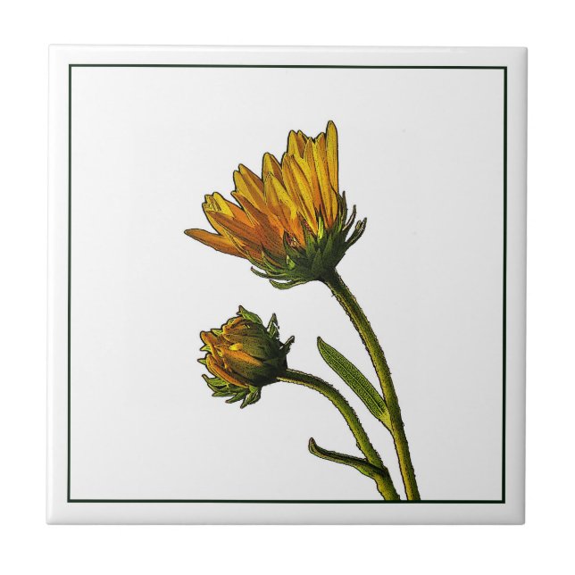 Budding Sunflowers Photo Ceramic Tile (Front)