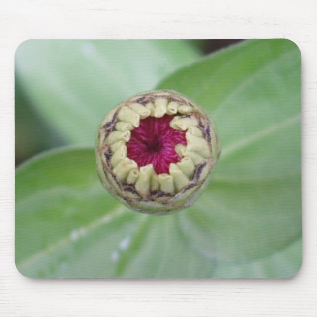 Budding Zinnia Mouse Pad (Front)