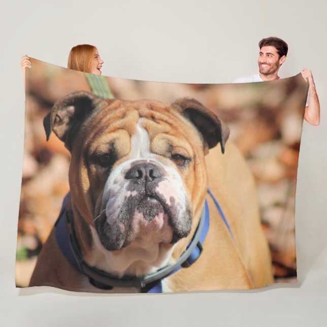 Buddy bulldog fleece blanket (In Situ)