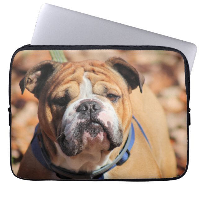 Buddy Bulldog  Laptop Sleeve (Front)