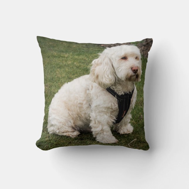 Buddy Cushion (Front)