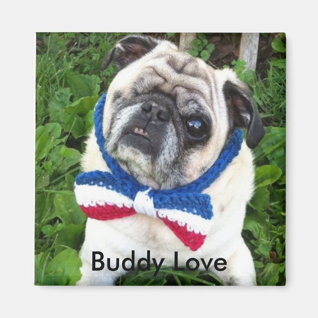 Buddy Love Love's Magnet (Front)