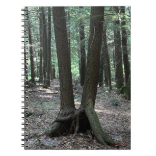 Buddy Trees Notebook