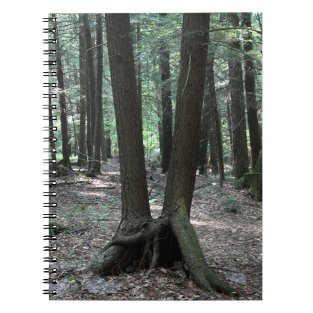 Buddy Trees Notebook (Front)