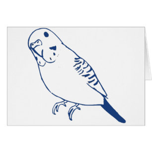 Budgerigar