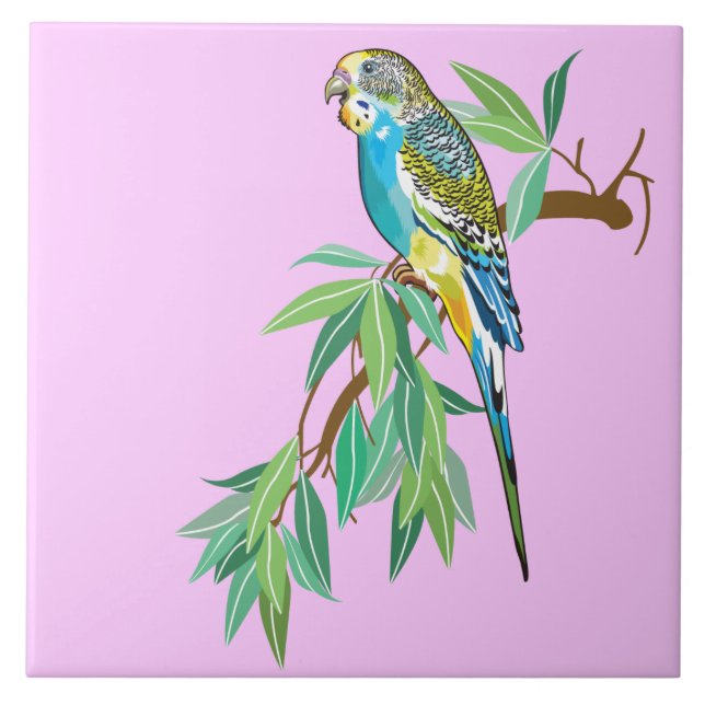 budgerigar ceramic tile (Front)