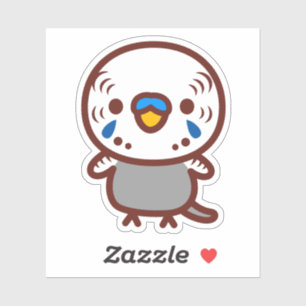 Budgerigar / Normal grey male