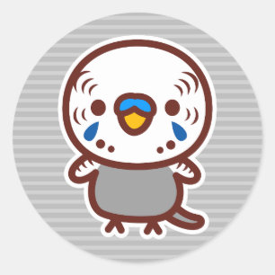 Budgerigar / Normal grey male Classic Round Sticker