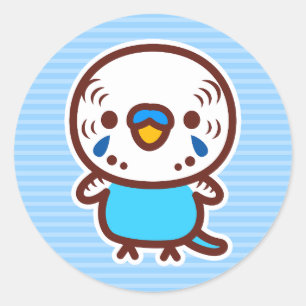 Budgerigar / Normal sky blue male Classic Round Sticker