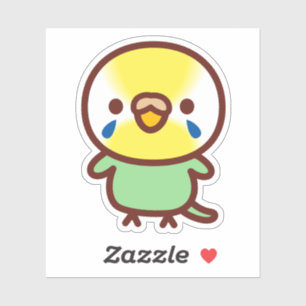 Budgerigar / Pastel rainbow green female