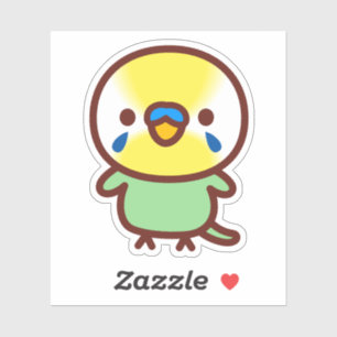 Budgerigar / Pastel rainbow green male